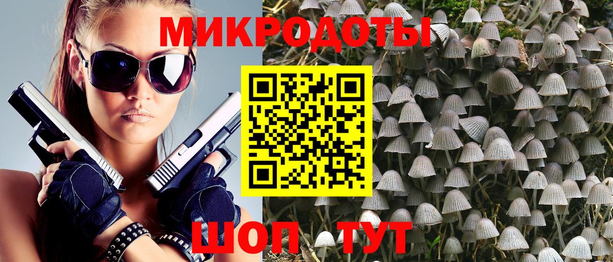 Псилоцибиновые грибы GOLDEN TEACHER  Галлюциногенные грибы GOLDEN TEACHER  Вход с VPN  Архангельск 