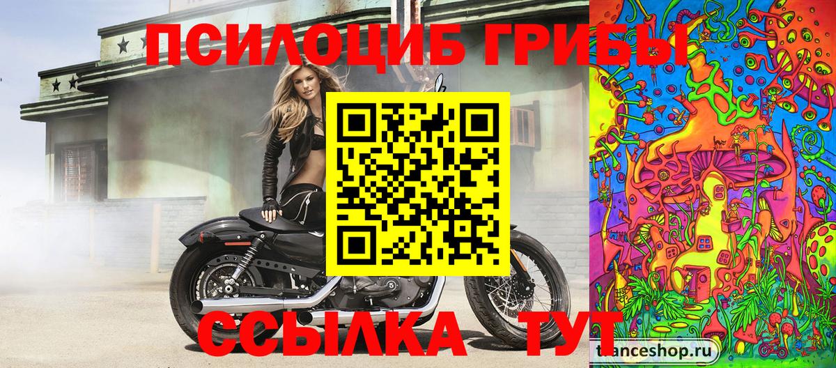 Галлюциногенные грибы Psilocybe Архангельск